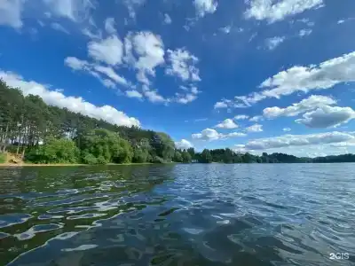 Смородина - 4