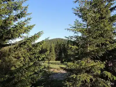ЛадаГлэмп - 66
