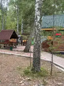 Белая сова - 70