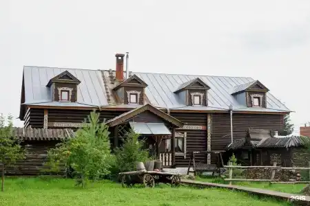 Медведь - 1