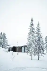 Кружево - 64