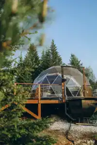 ЛадаГлэмп - 43
