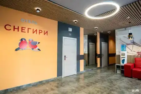 Снегири - 10