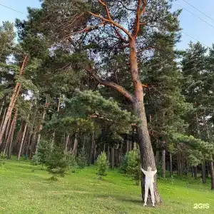 Прокопьевский - 19