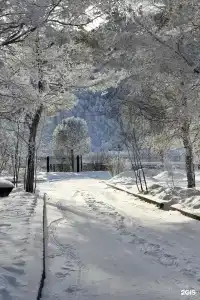 Байкальские сезоны - 13
