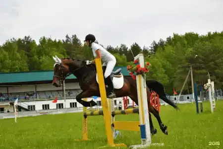 Берендеевка - 99