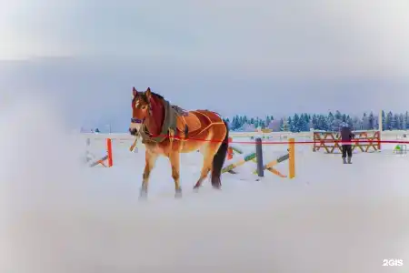 Алексеевка - 51