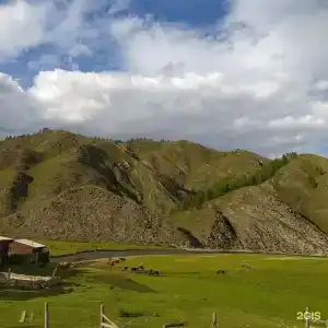 Уймонский Ковчег - 20