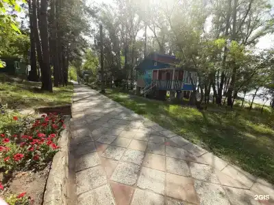 Чайка - 14