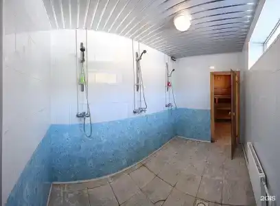 Медведь - 43