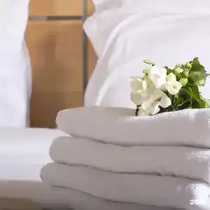 Южный дворик - 20