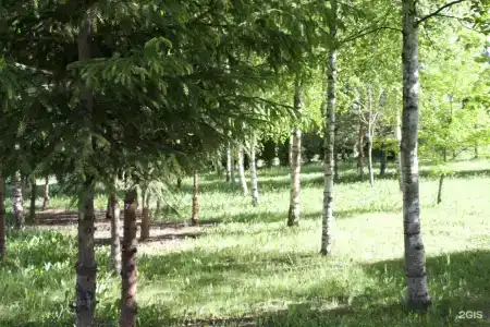 Семейный дом - 47