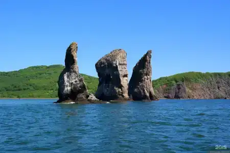 Камчатка Мэджик Вуд - 11