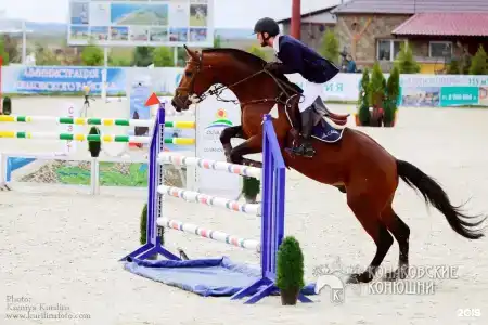 Загородный отель Konakoff в Сажино - 81