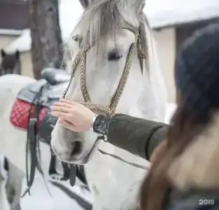 Царские Палаты - 50
