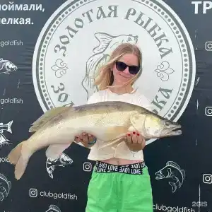 Клуб Золотая Рыбка - 84