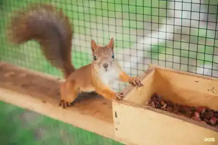 Волжская Усадьба - 29