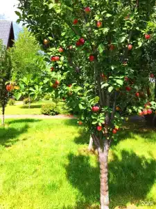 Эко-Порт - 6