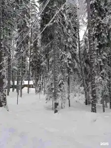 Чародейка - 63
