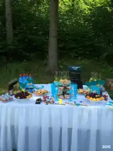 Сафари Парк - 61