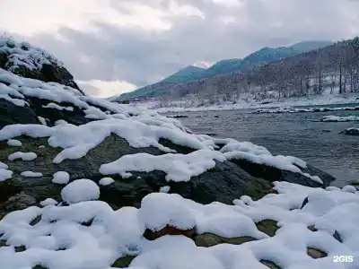 Два Медведя - 8