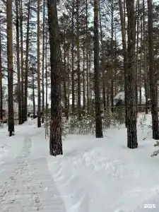 Хвойный берег - 34
