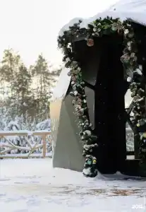 Хвойный берег - 39
