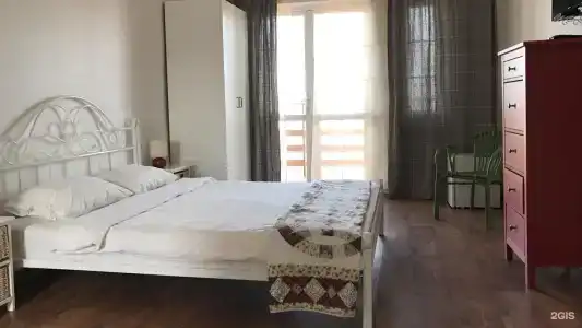 Совы - 3