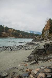 Altay Siesta - 6