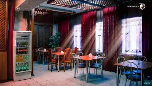 Зимородок - 2