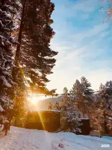 Телецкое Золотое - 69