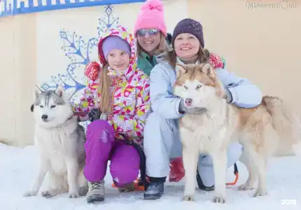 Маламут Ленд - 33
