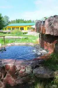 Мечта - 42