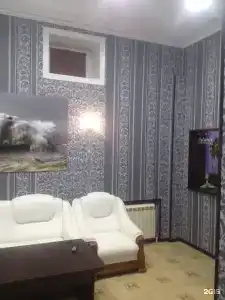 Дельфин - 41