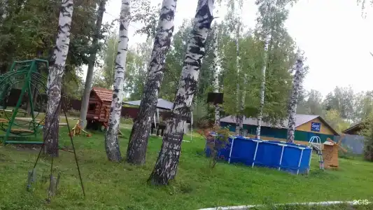 Чайка - 33