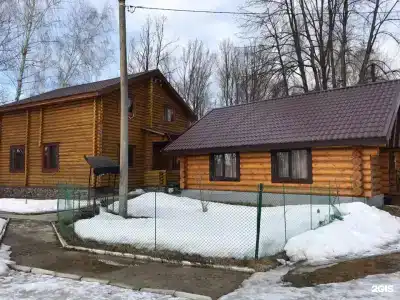 Чайка - 31