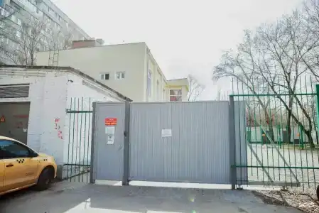 Вежливый Лось на Ярославском шоссе - 2