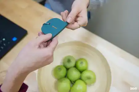 Apple Dream - 13