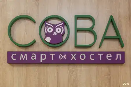 Сова - 45