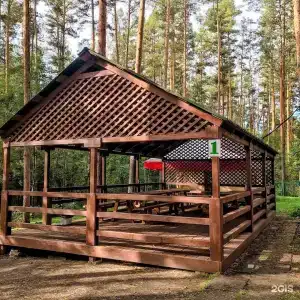 Лесные дали - 3