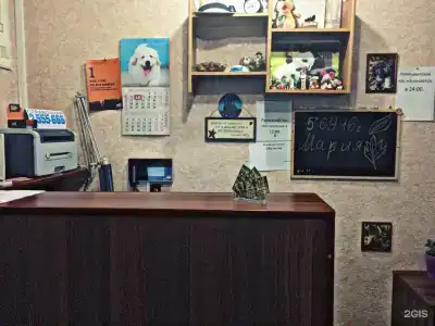 Панда на Батурина 5д - 3
