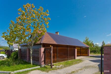 Три клёна - 29