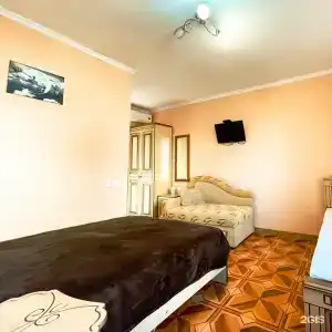 Киви и Цитрус - 46