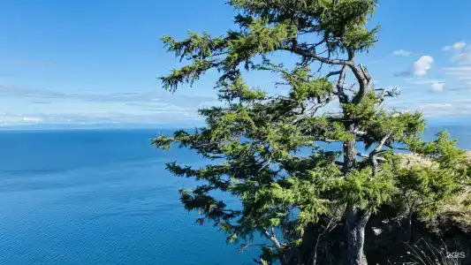 Мелодия Ольхона - 21