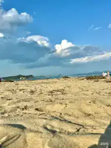 Красный кот - 37