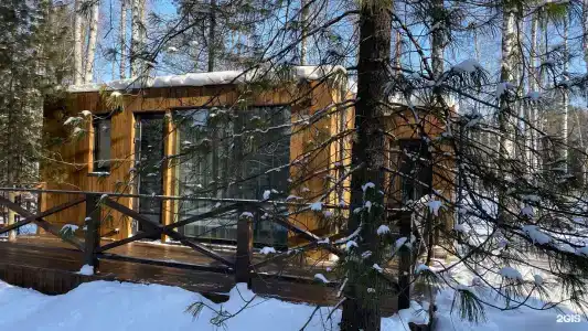 Снежные гуси - 21