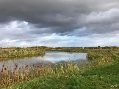 Лисицкий парк - 26