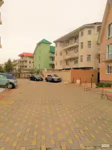 Адениум 585 - 48