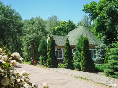 Сокол - 20