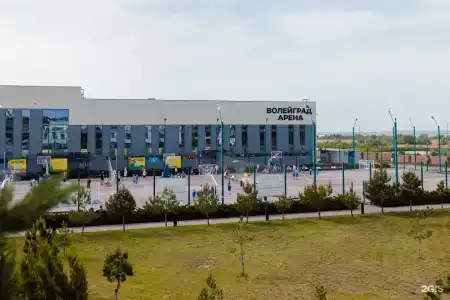 Volleygrad sports - 79